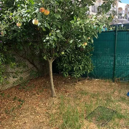 Rockfield 4 Dom wakacyjny